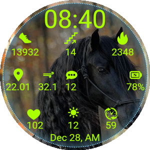 Horse02