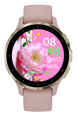 Fairy Rose