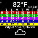 One Screen Forecast