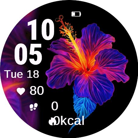 Radiant Hibiscus