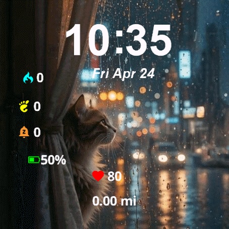 Rainy Cat Window