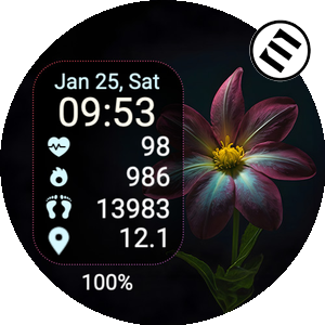 Flower in Night