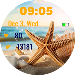 shell