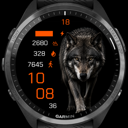 Night Wolf