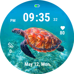 Coral Turtle