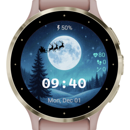 Moonlit Christmas Ride