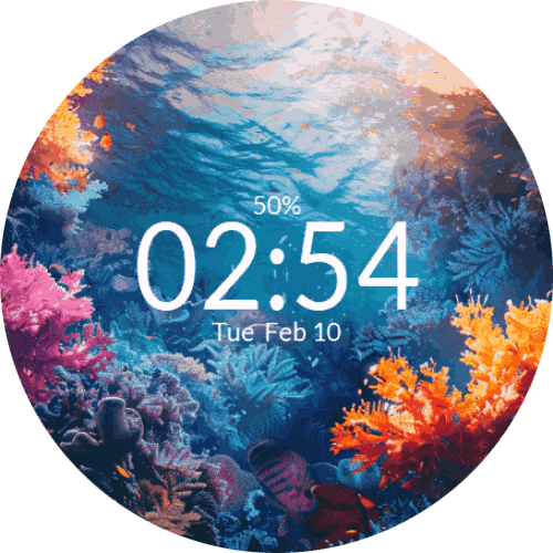 Coral Reef