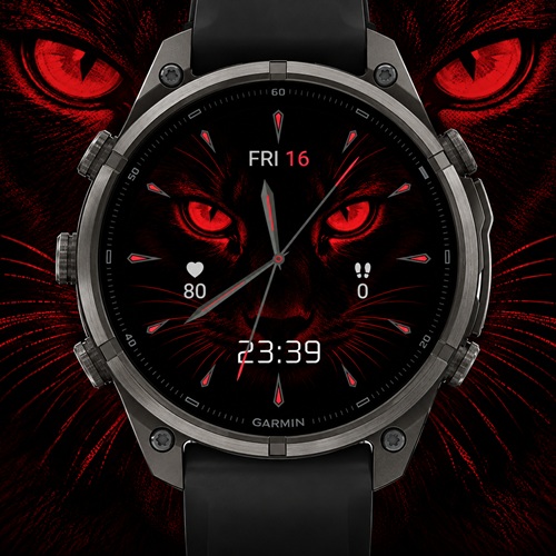 Wild Cat