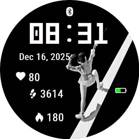 Elegant Fencer