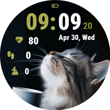 Sleepy Cat