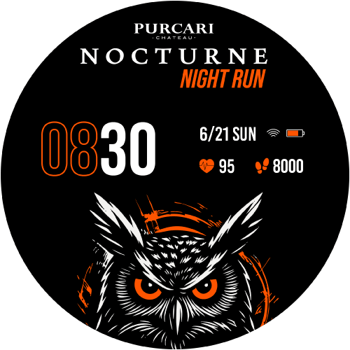 Purcari Nocturne Night Run