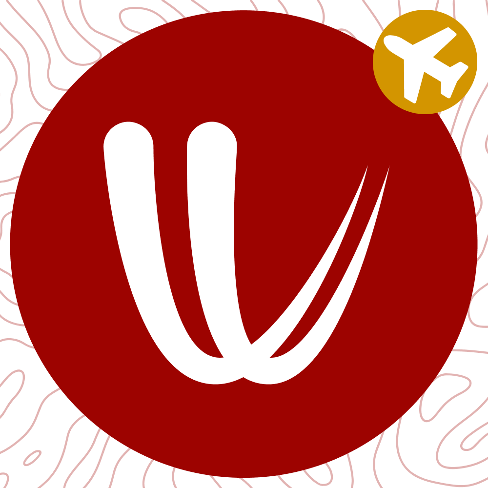 Windy.com METAR Widget
