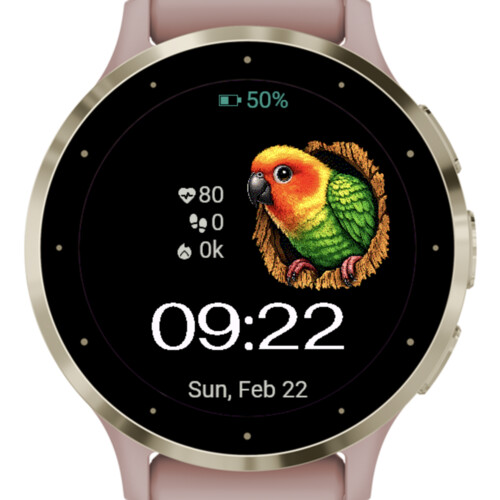 Tropical Parrot