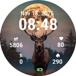 Nocturnal Deer