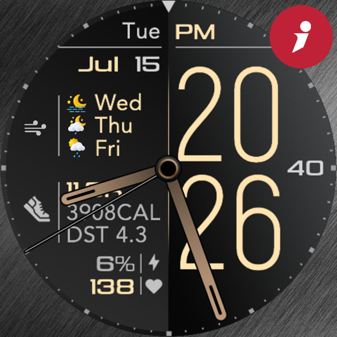 iFacer – H009