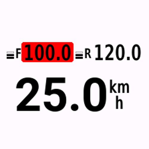 TyreWiz Dash Pro