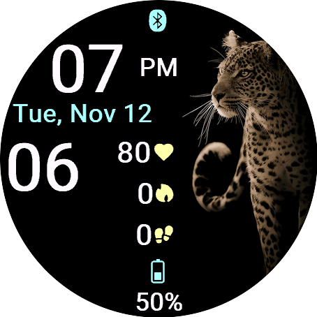 Mystic Leopard