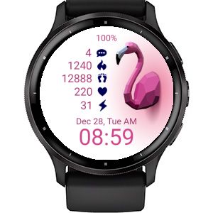 Bird - Flamingo