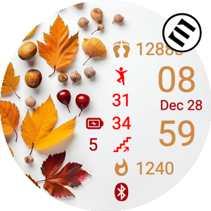 Thanksgiving 08