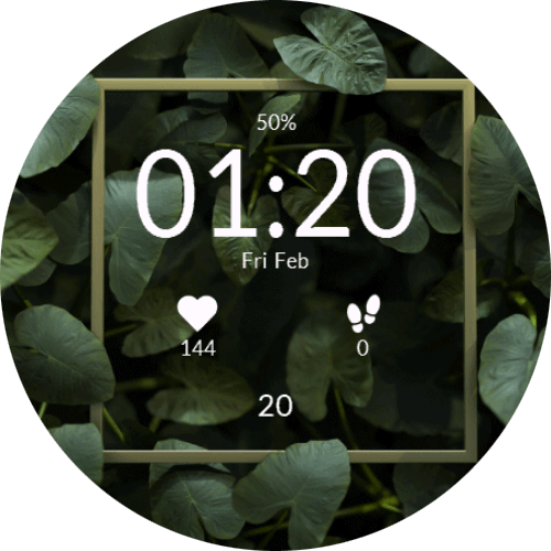 Tropical Background