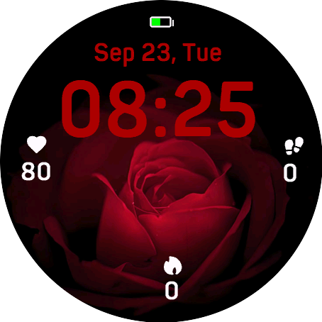 Mysterious Rose