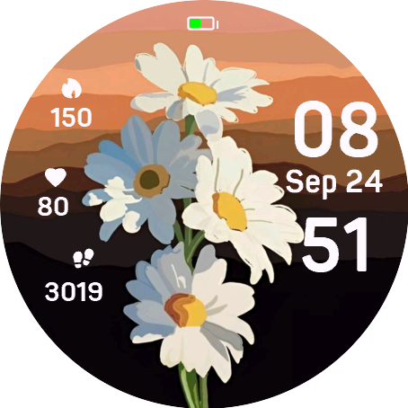 Sunset Flowers