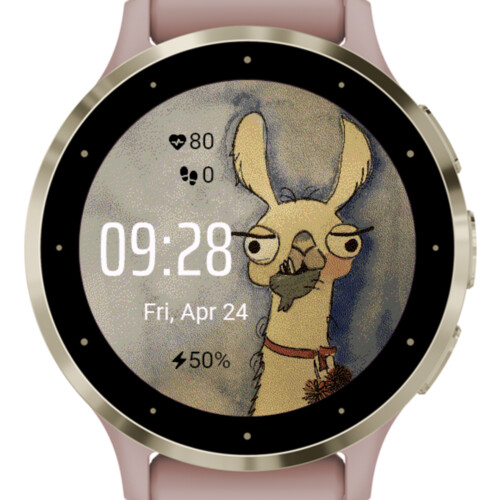Funny Llama