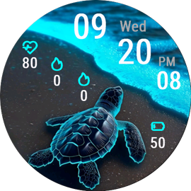Glowing Turtle