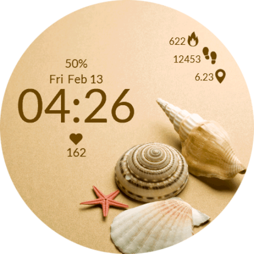 Seashell