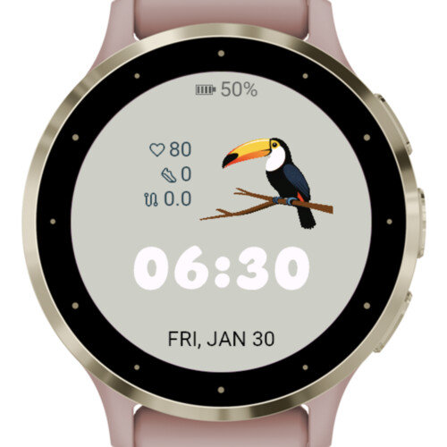 Toucan Minimal