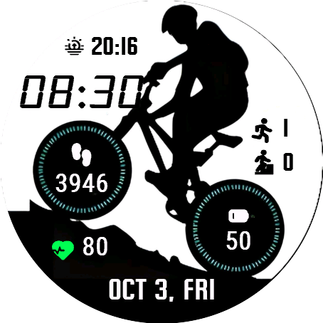 Bike Silhouette
