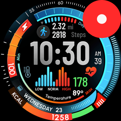 Fenix 8 - FUSION - Full Data