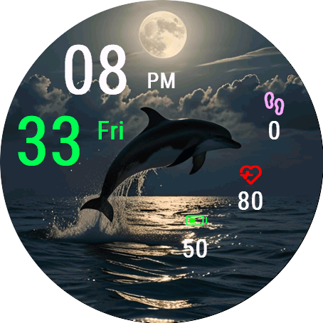 Moonlit Dolphin