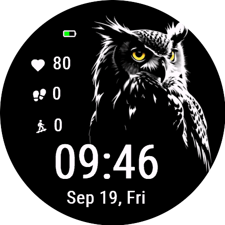 Yellow - eyed Owl