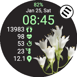 Snowbell flower