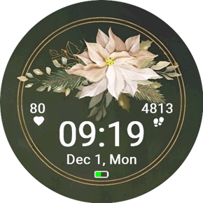 White Poinsettia