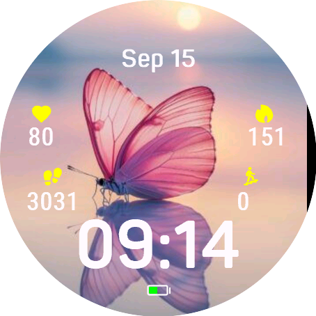 Reflective Butterfly
