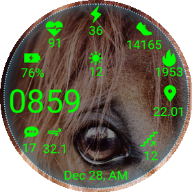 Horse01