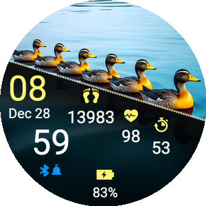 Ducks
