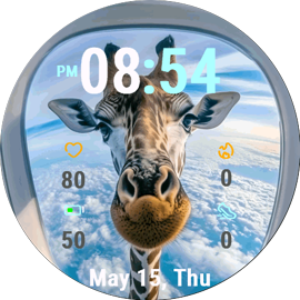 Aerial Giraffe