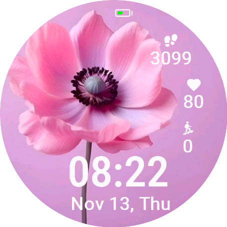 Pink Anemone