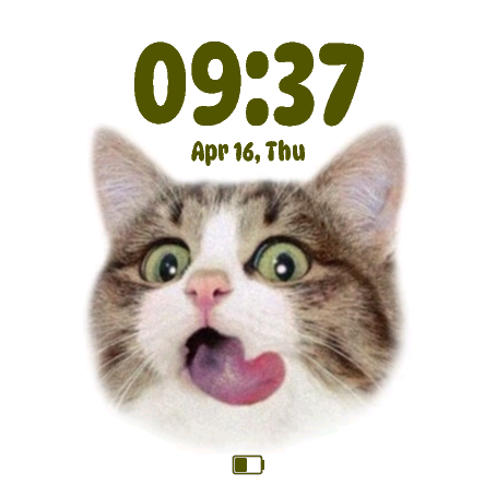 Funny kitty