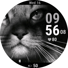 Noir Kitty
