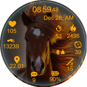 Horse03