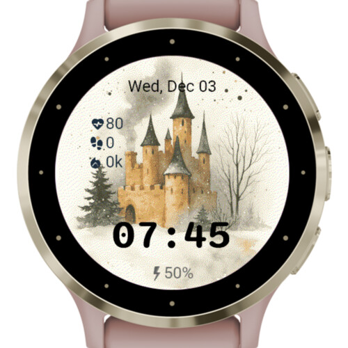 Winter Castle Dreams