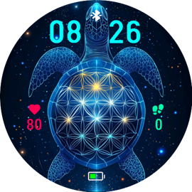 Turtle Galaxy