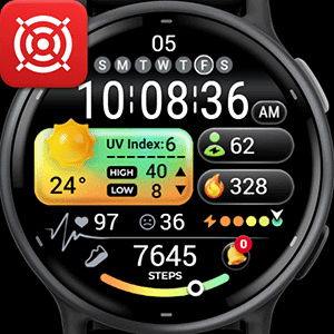 Vibrant Weather - OMG 101