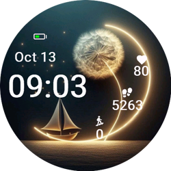 Moonlit Sail