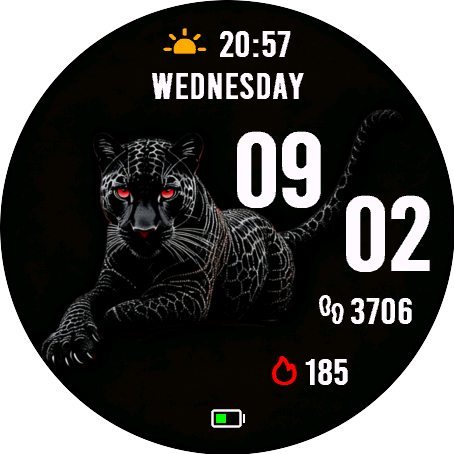 Sinister Panther