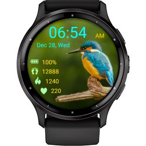 Bird 14